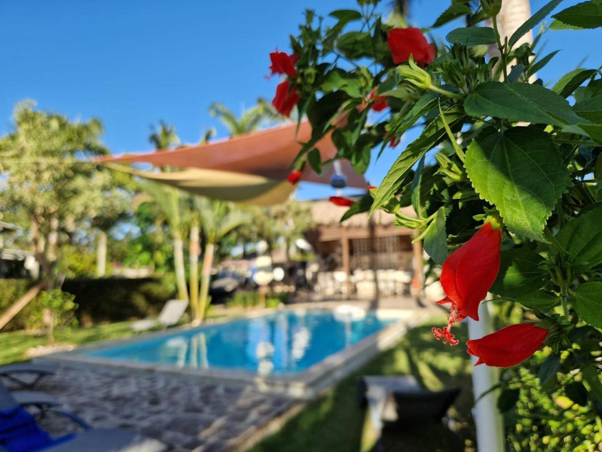 Hotel Enjoy Las Terrenas Εξωτερικό φωτογραφία