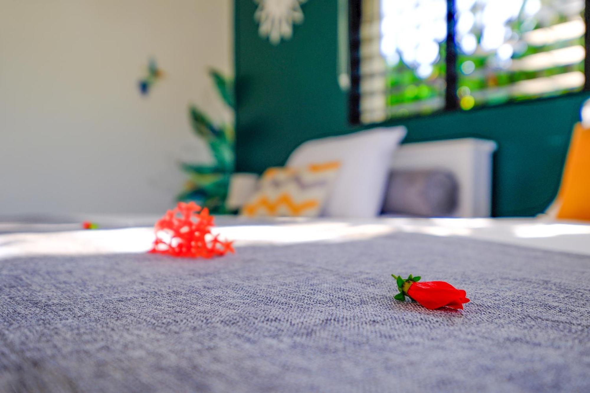 Hotel Enjoy Las Terrenas Εξωτερικό φωτογραφία
