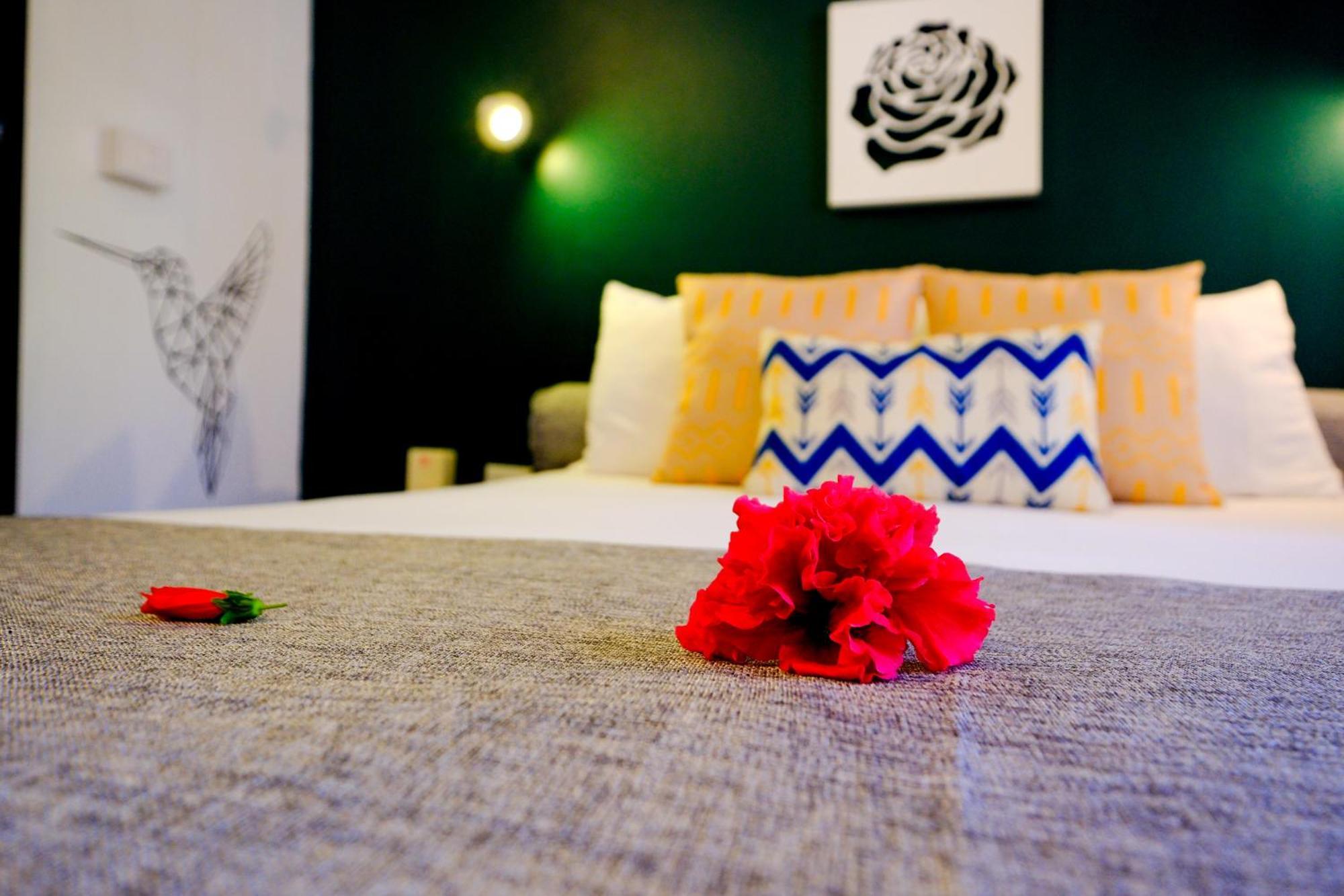Hotel Enjoy Las Terrenas Εξωτερικό φωτογραφία