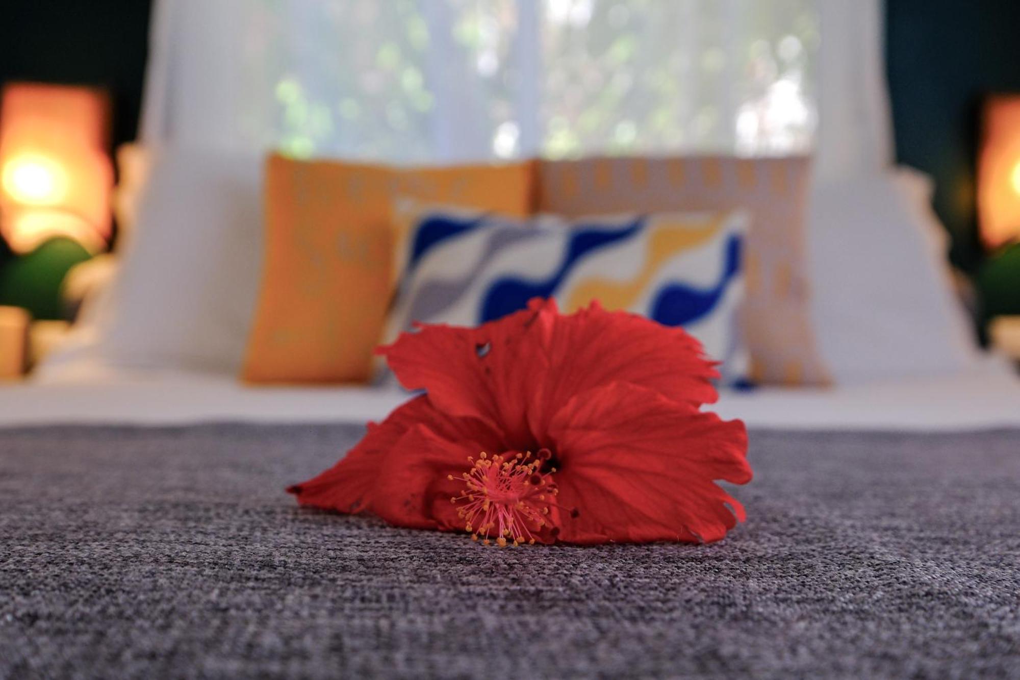 Hotel Enjoy Las Terrenas Εξωτερικό φωτογραφία