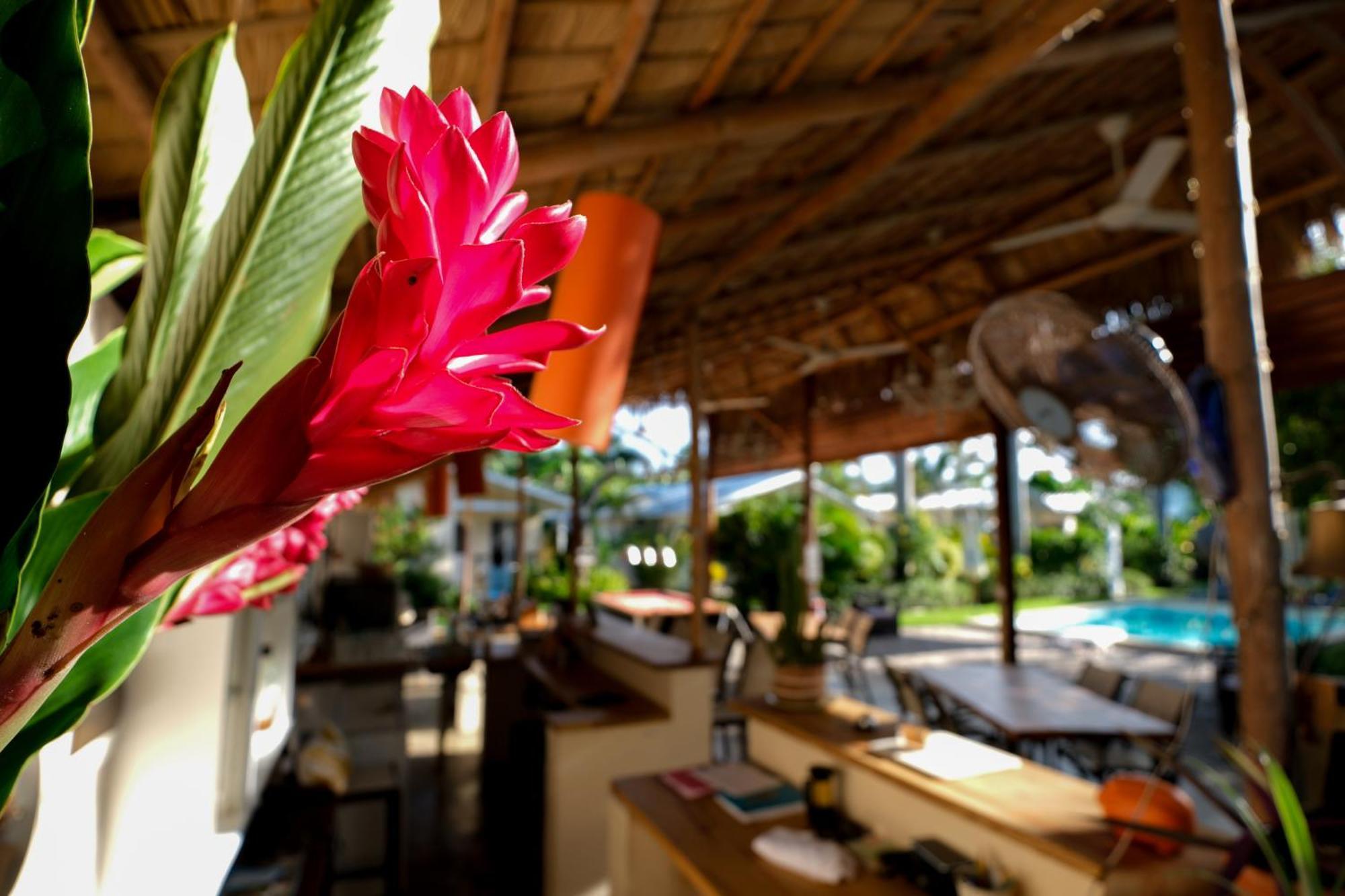 Hotel Enjoy Las Terrenas Εξωτερικό φωτογραφία